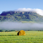 Camping in Lejweleputswa
