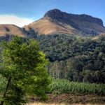 www.sacampsites.co.za