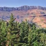 Beautiful forest & mountain in Hogsback
