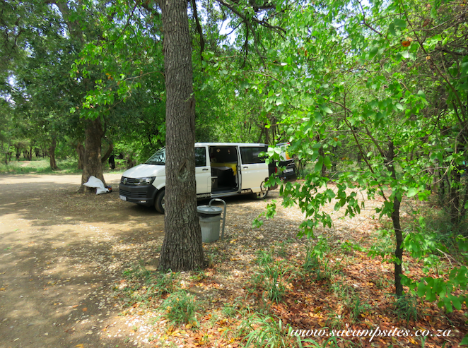 campsite beneath beautiful trees
