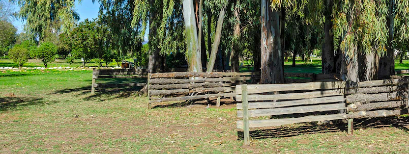 Citrus Creek campsites