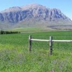 Camping in Wolseley