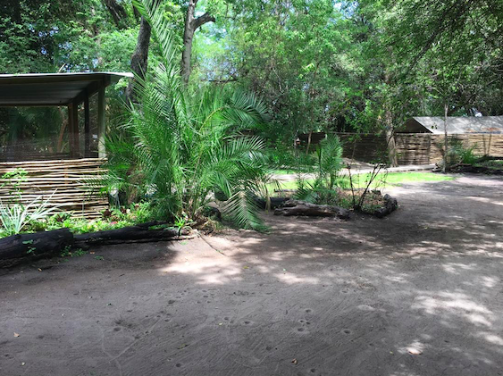 Nguma Island Lodge campsites