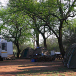 Hlane Royal National Park campsites