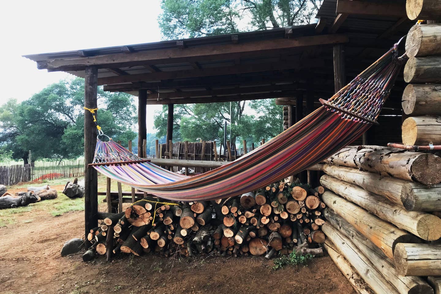 Splashy Fen Mtingu Campsites
